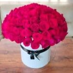 Cilindro de 100 rosas R179